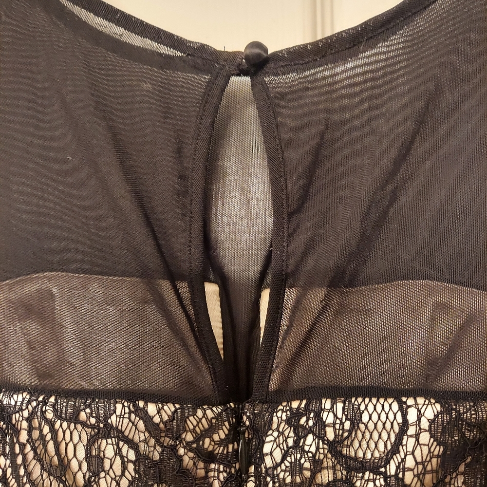 Laundry by Sheli Segal black floral lace sheer sleeves mini cocktail dress sz 6 - Picture 4 of 6